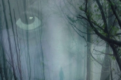 Finding Amelia