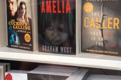 Finding Amelia Book