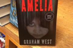 Finding Amelia Book