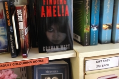 Finding Amelia Book