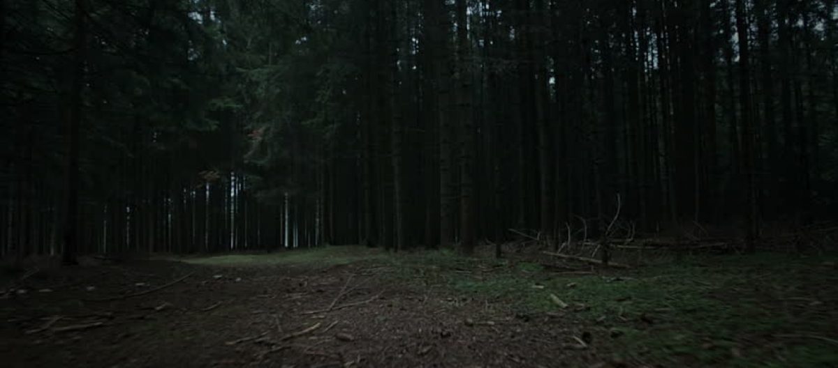 custom-header